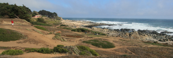 Chili Isla Negra Panorama